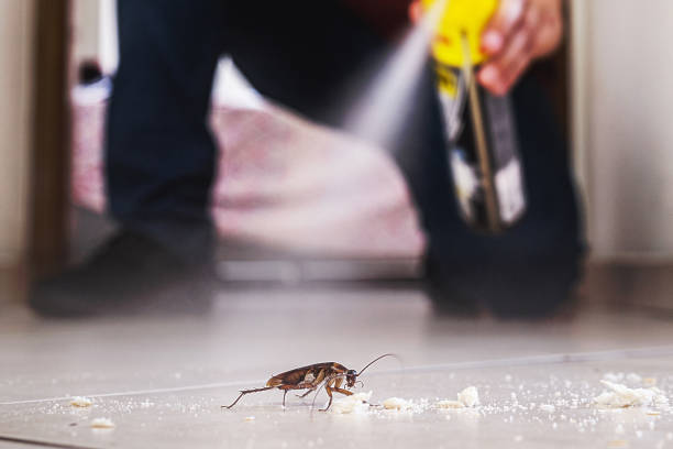 Pest Prevention Services in Saxon, SC